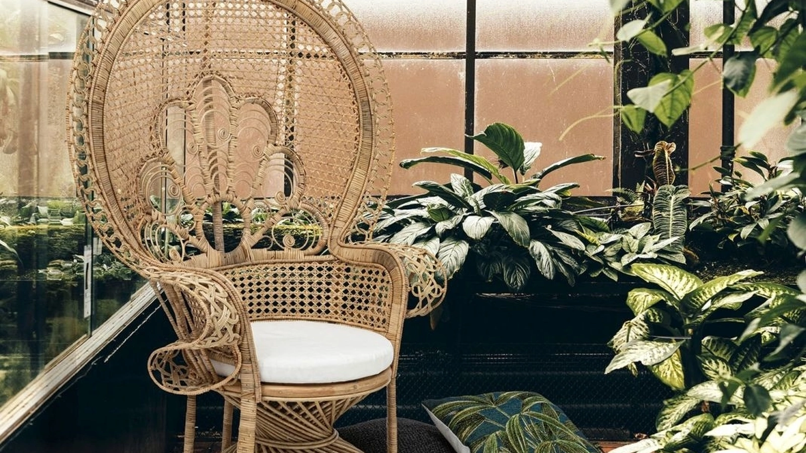 Poltrona in rattan Peacock di Bizzotto