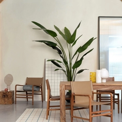 Sedia in pelle e Teak Caroline di Bizzotto