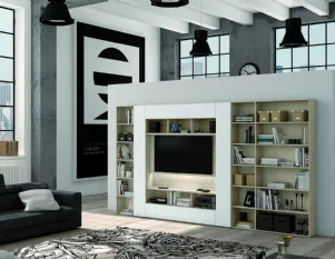 Libreria in Legno con Elemento Porta Tv