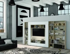 Libreria in Legno con Elemento Porta Tv